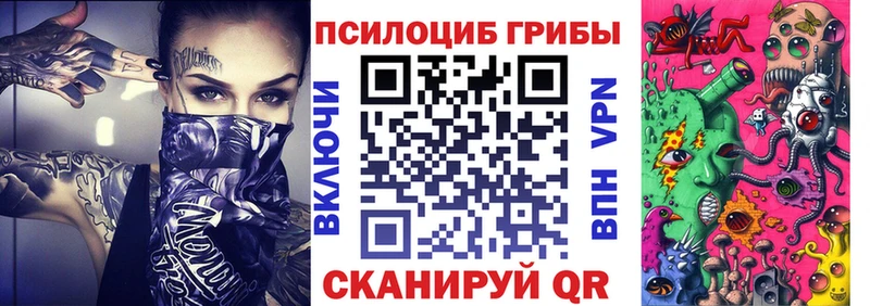 Псилоцибиновые грибы Psilocybe  KRAKEN tor  Мосальск  где купить наркоту 